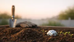 How to use aluminum foil to deter moles in your yard naturally